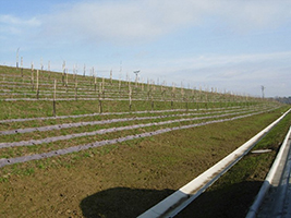 Kliknutím zvětšíte